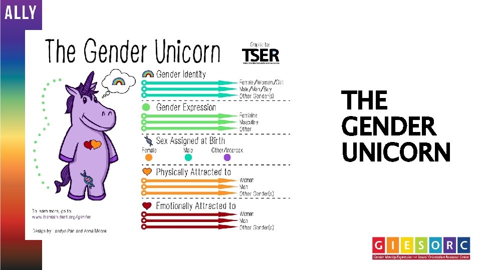 THE GENDER UNICORN 