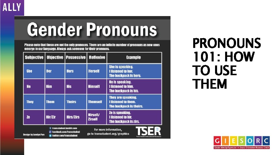 PRONOUNS 101: HOW TO USE THEM 