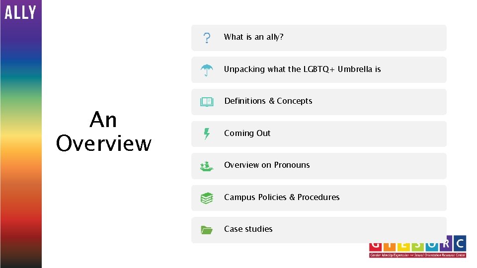 What is an ally? Unpacking what the LGBTQ+ Umbrella is An Overview Definitions &