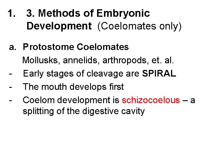 1. 3. Methods of Embryonic Development (Coelomates only) a. Protostome Coelomates Mollusks, annelids, arthropods,