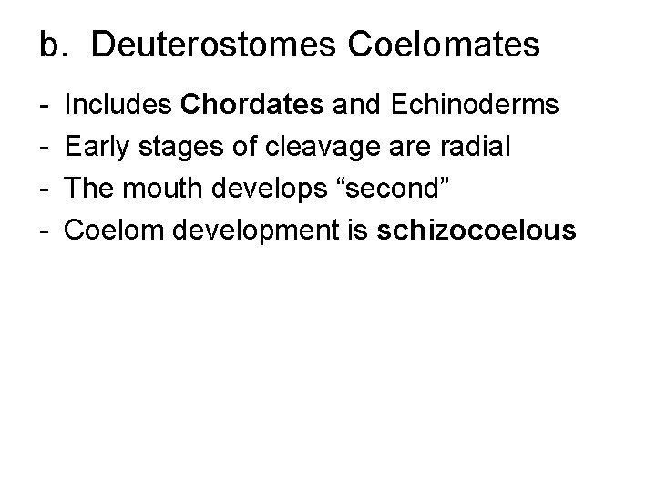 b. Deuterostomes Coelomates - Includes Chordates and Echinoderms Early stages of cleavage are radial