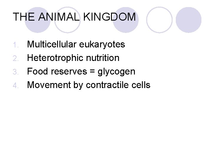 THE ANIMAL KINGDOM Multicellular eukaryotes 2. Heterotrophic nutrition 3. Food reserves = glycogen 4.