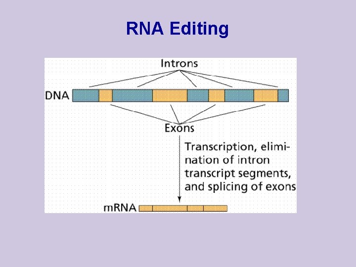 RNA Editing 