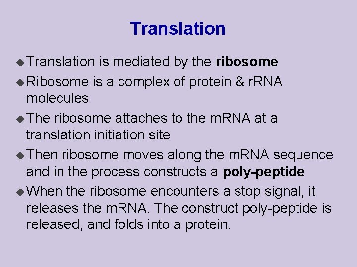 Translation u Translation is mediated by the ribosome u Ribosome is a complex of