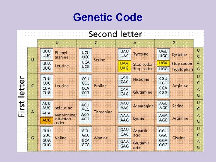 Genetic Code 