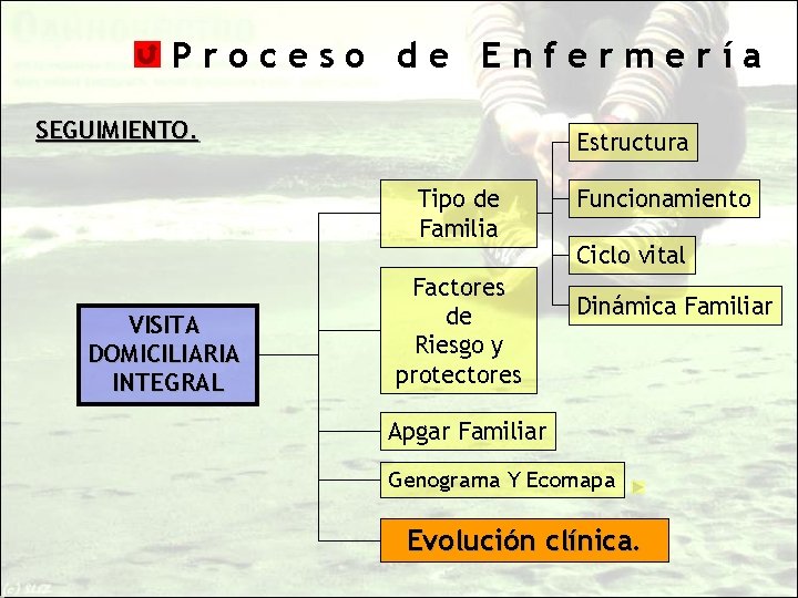 Proceso de Enfermería SEGUIMIENTO. Estructura Tipo de Familia VISITA DOMICILIARIA INTEGRAL Factores de Riesgo