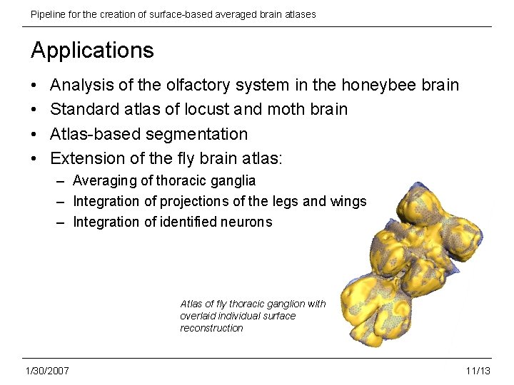Pipeline for the creation of surface-based averaged brain atlases Applications • • Analysis of