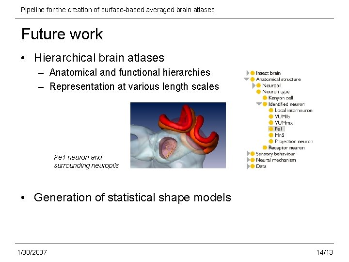 Pipeline for the creation of surface-based averaged brain atlases Future work • Hierarchical brain