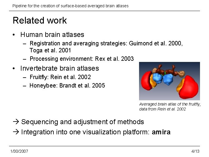 Pipeline for the creation of surface-based averaged brain atlases Related work • Human brain