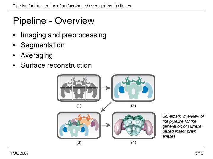 Pipeline for the creation of surface-based averaged brain atlases Pipeline - Overview • •