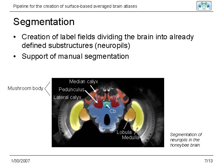 Pipeline for the creation of surface-based averaged brain atlases Segmentation • Creation of label