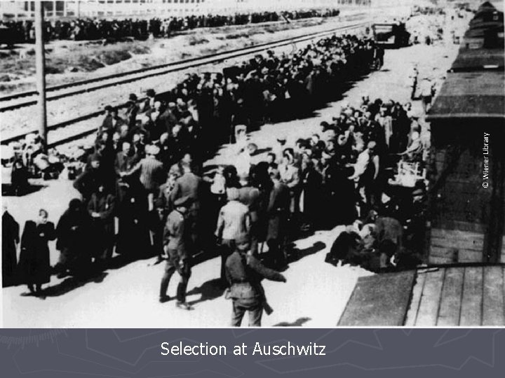 Selection at Auschwitz 