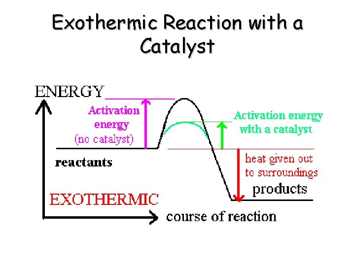 Exothermic Reaction with a Catalyst 