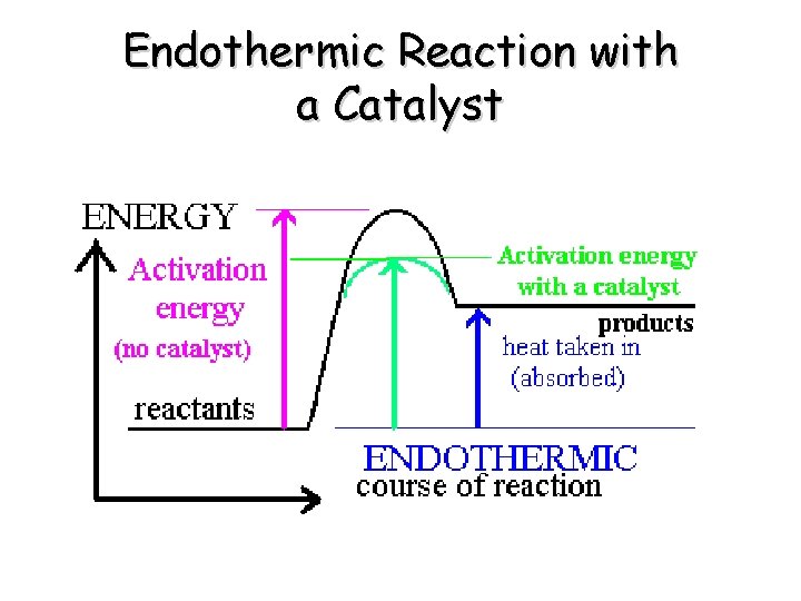 Endothermic Reaction with a Catalyst 