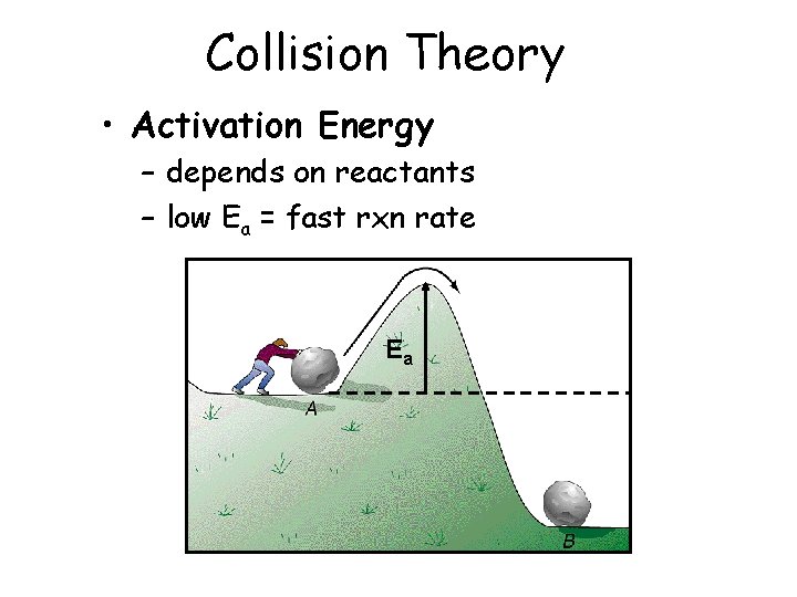 Collision Theory • Activation Energy – depends on reactants – low Ea = fast