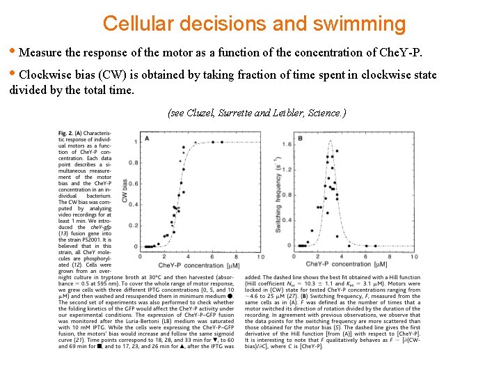 Cellular decisions and swimming • Measure the response of the motor as a function