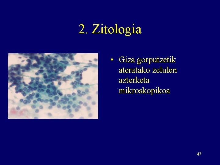 2. Zitologia • Giza gorputzetik ateratako zelulen azterketa mikroskopikoa 47 