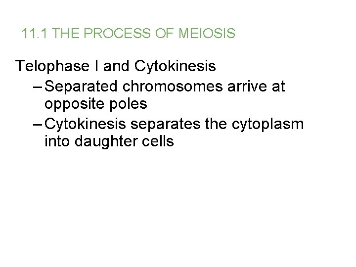 11. 1 THE PROCESS OF MEIOSIS Telophase I and Cytokinesis – Separated chromosomes arrive