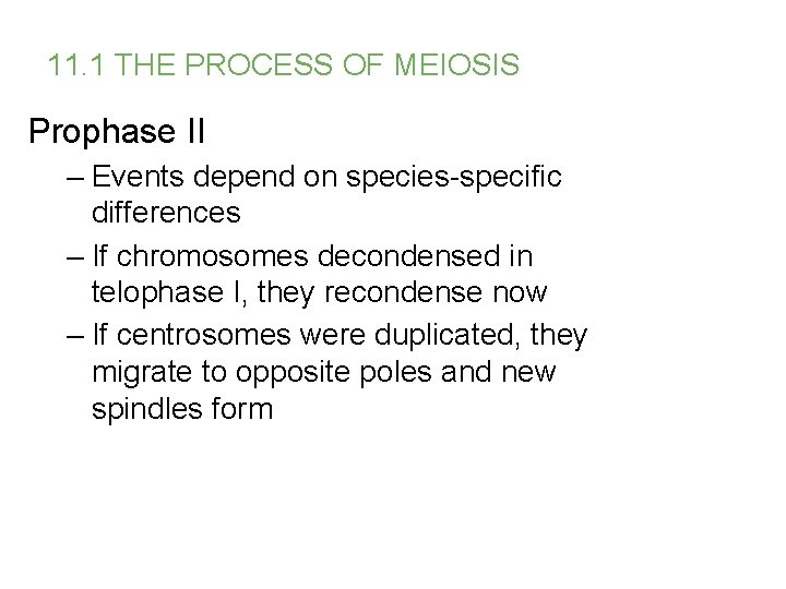 11. 1 THE PROCESS OF MEIOSIS Prophase II – Events depend on species-specific differences