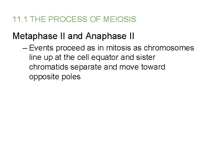11. 1 THE PROCESS OF MEIOSIS Metaphase II and Anaphase II – Events proceed