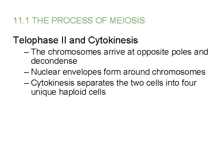 11. 1 THE PROCESS OF MEIOSIS Telophase II and Cytokinesis – The chromosomes arrive