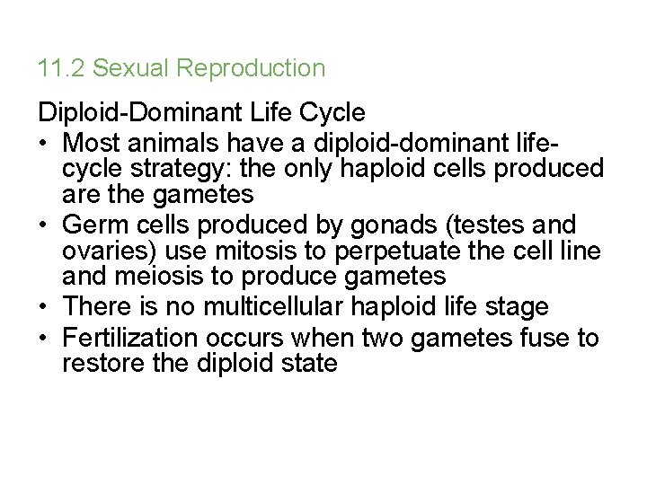 11. 2 Sexual Reproduction Diploid-Dominant Life Cycle • Most animals have a diploid-dominant lifecycle