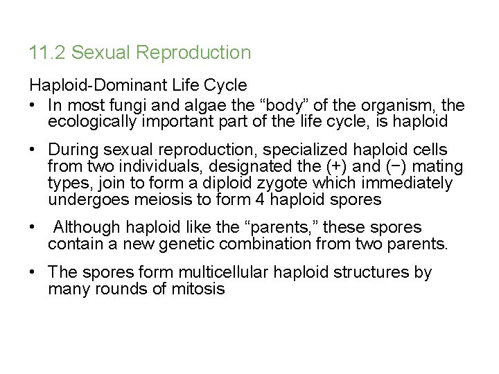 11. 2 Sexual Reproduction Haploid-Dominant Life Cycle • In most fungi and algae the