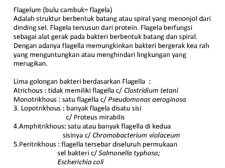 Flagelum (bulu cambuk= flagela) Adalah struktur berbentuk batang atau spiral yang menonjol dari dinding