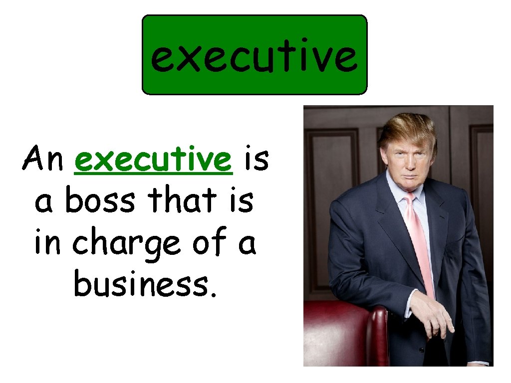 executive An executive is a boss that is in charge of a business. 