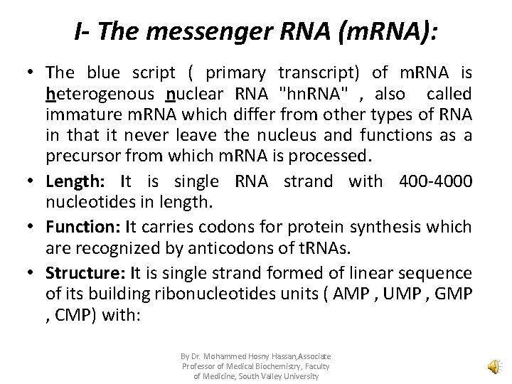 I- The messenger RNA (m. RNA): • The blue script ( primary transcript) of