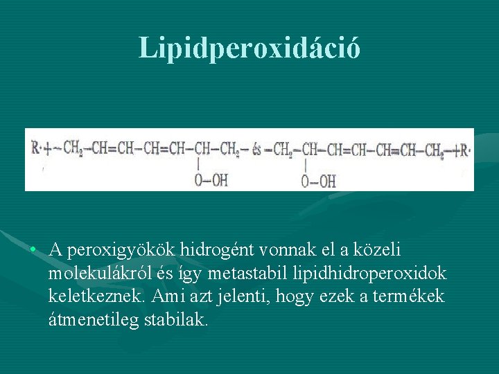 Lipidperoxidáció • A peroxigyökök hidrogént vonnak el a közeli molekulákról és így metastabil lipidhidroperoxidok