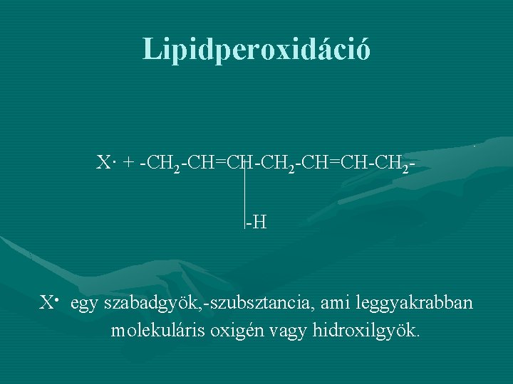 Lipidperoxidáció X. + CH 2 CH=CH CH 2 H X. egy szabadgyök, szubsztancia, ami