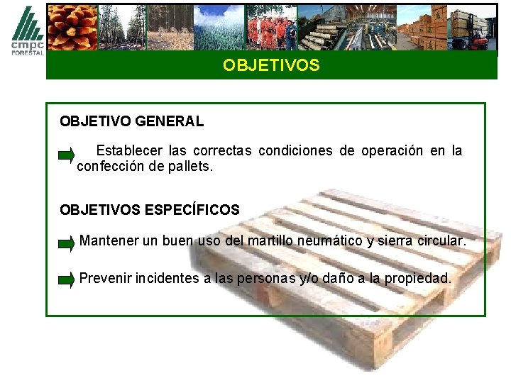 OBJETIVOS OBJETIVO GENERAL Establecer las correctas condiciones de operación en la confección de pallets.