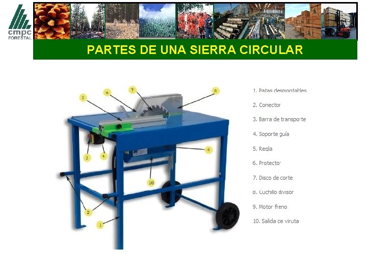 PARTES DE UNA SIERRA CIRCULAR 