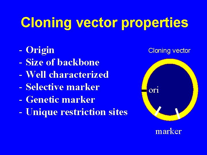 Cloning vector properties - Origin - Size of backbone - Well characterized - Selective