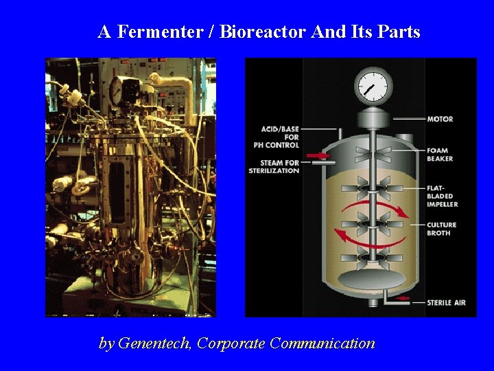 A Fermenter / Bioreactor And Its Parts by Genentech, Corporate Communication 