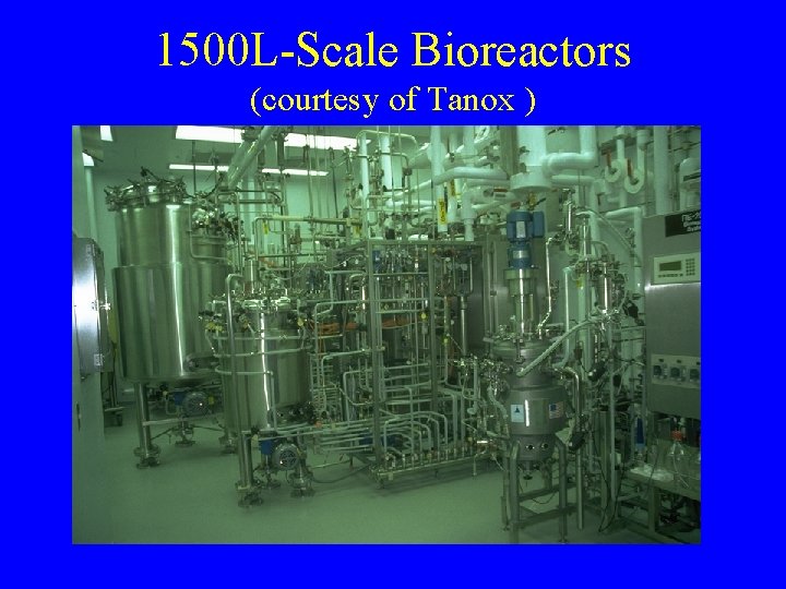 1500 L-Scale Bioreactors (courtesy of Tanox ) 