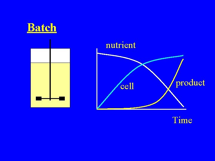 Batch nutrient cell product Time 