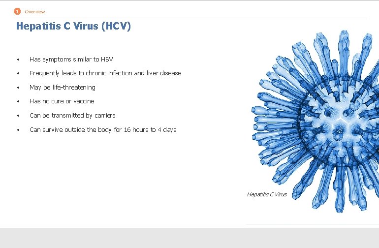 1 Overview Hepatitis C Virus (HCV) • Has symptoms similar to HBV • Frequently