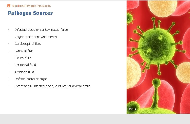 2 Bloodborne Pathogen Transmission Pathogen Sources • Infected blood or contaminated fluids • Vaginal
