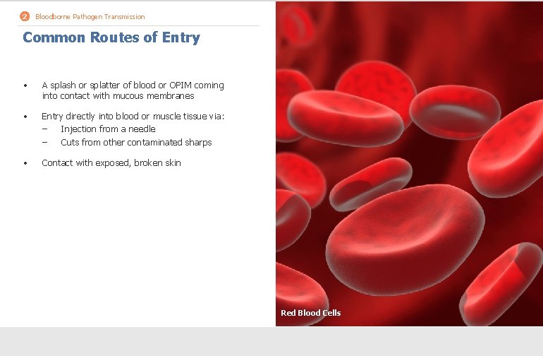 2 Bloodborne Pathogen Transmission Common Routes of Entry • A splash or splatter of