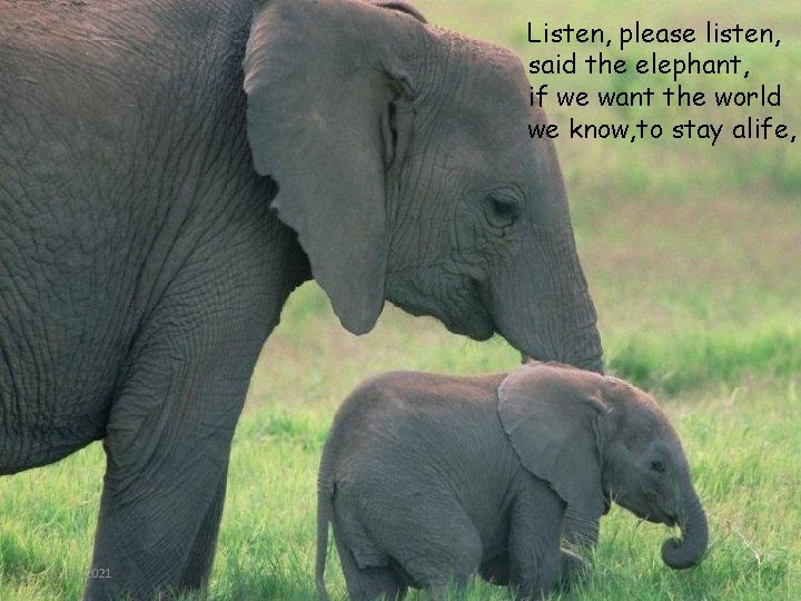 Listen, please listen, said the elephant, if we want the world we know, to