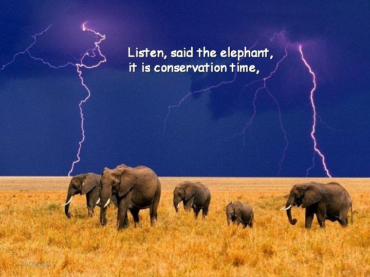 Listen, said the elephant, it is conservation time, 10/21/2021 