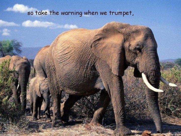 so take the warning when we trumpet, 10/21/2021 