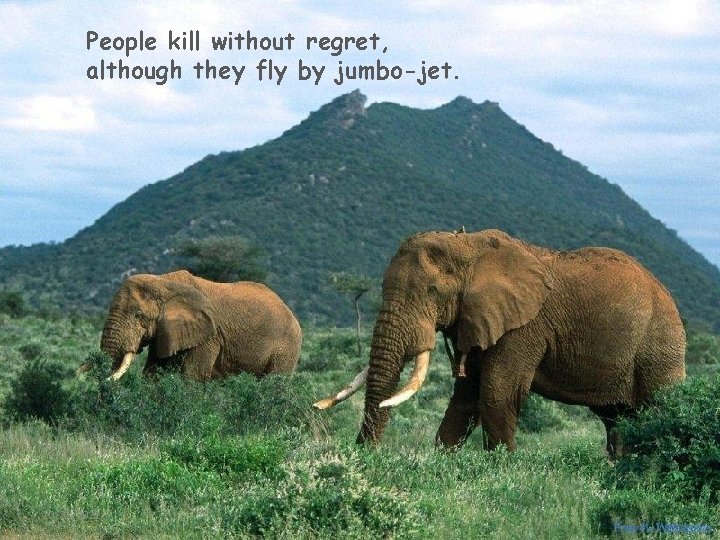 People kill without regret, although they fly by jumbo-jet. 10/21/2021 