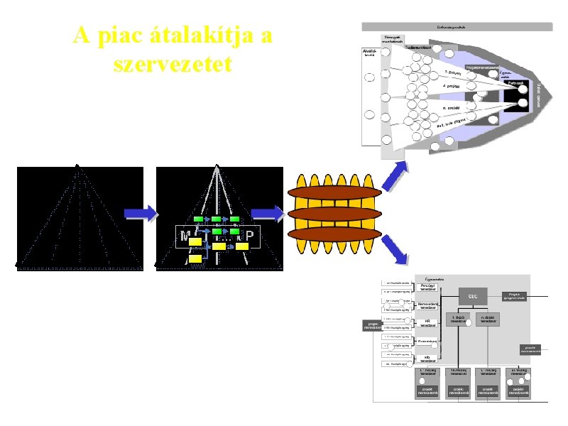 A piac átalakítja a szervezetet 