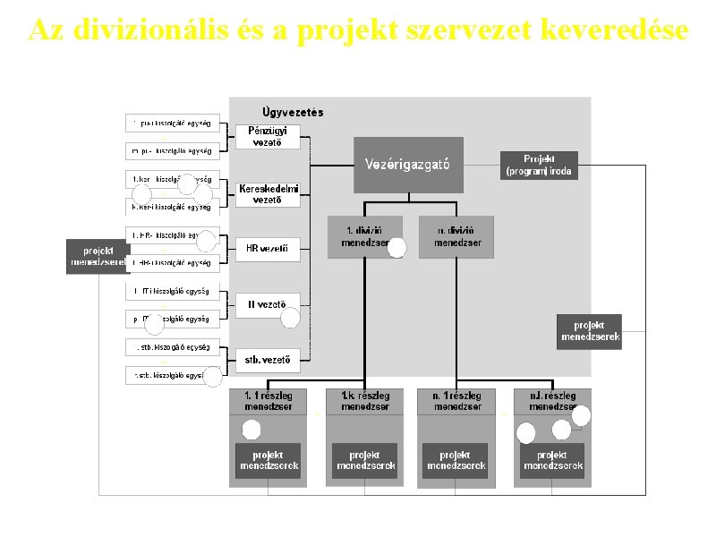 Az divizionális és a projekt szervezet keveredése 