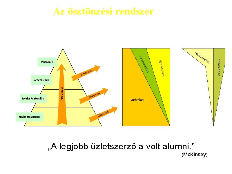 Az ösztönzési rendszer „A legjobb üzletszerző a volt alumni. ” (Mc. Kinsey) 