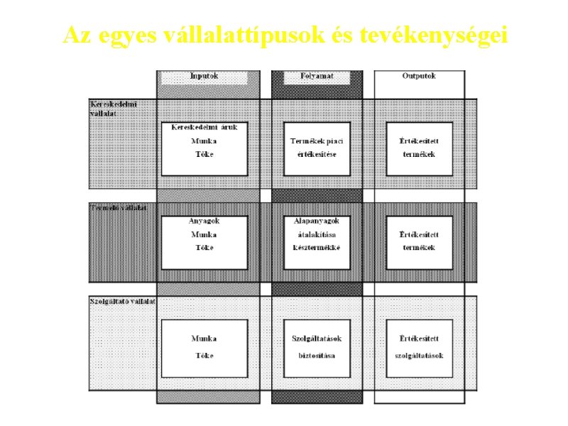 Az egyes vállalattípusok és tevékenységei 