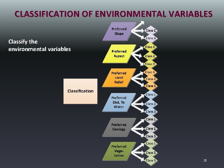 CLASSIFICATION OF ENVIRONMENTAL VARIABLES Classify the environmental variables 25 